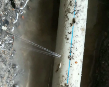 渝中卫生间测漏水多少钱