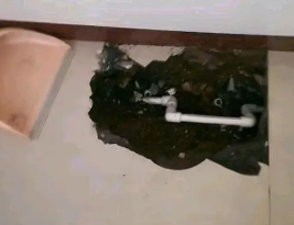 渝中卫生间测漏水多少钱
